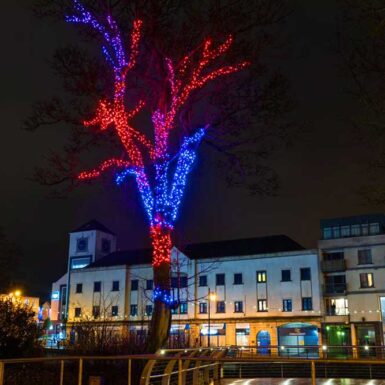 Sligo Twinkly Lighting