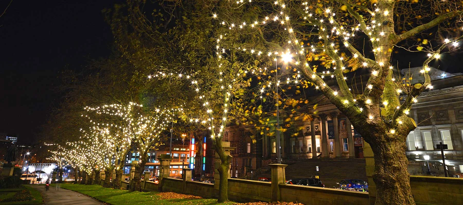 MaxiLED tree lighting large globe static
